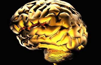 Christian Luis Pereira - Foto 1