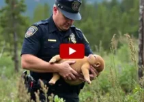 policial que amamentou bebê abandonada