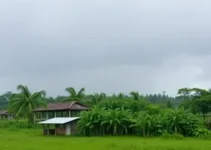 pancadas fortes e rápidas