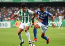 Palmeiras e Cruzeiro