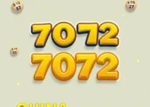 Quina 7072