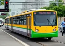 transporte público municipal