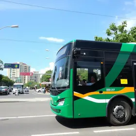 ônibus 1015