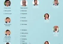 candidatos ao governo de MG
