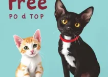 castração gratuita de cães e gatos