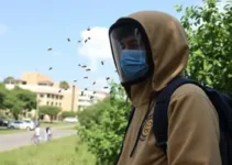 estudante atacada por abelhas