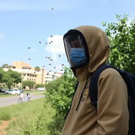 estudante atacada por abelhas