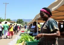 Feira da Praça da Estação