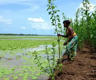 agroecologia na Lagoa de Ibirité